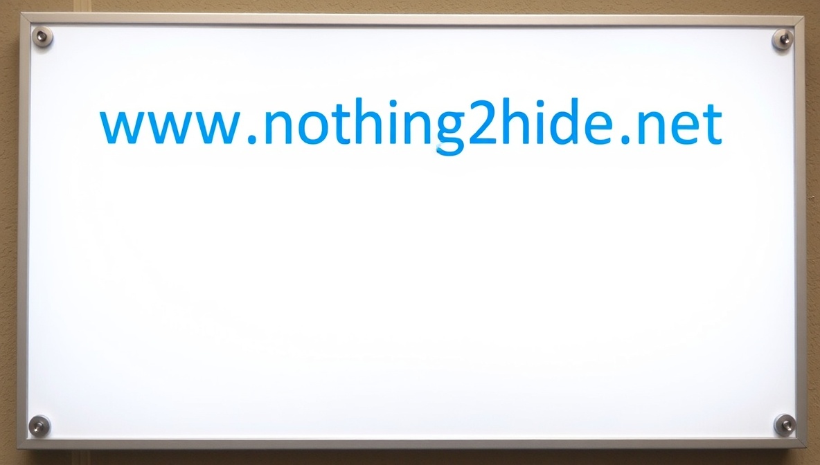 www .nothing2hide .net